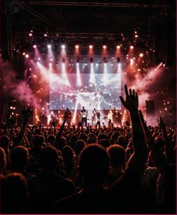 A live concert experience with a crowd facing the stage